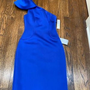 NWT Eliza J scuba cocktail dress
